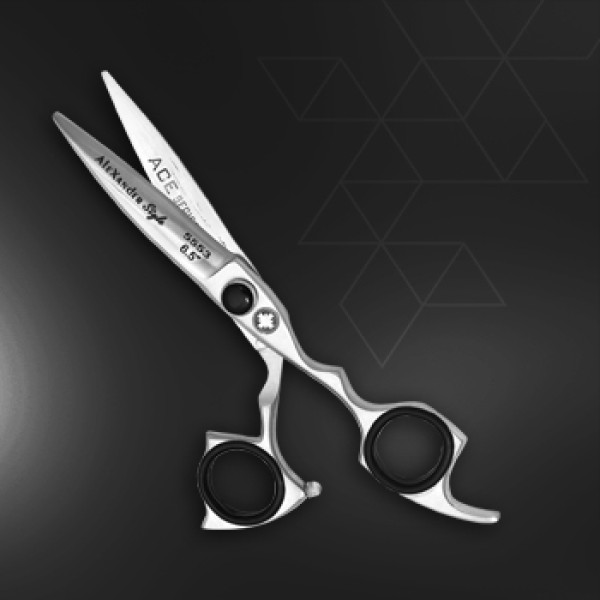 Hair Scissors & Accessories